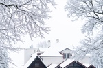 How Snow & Ice Impact Roof Longevity: Winter Maintenance Tips
