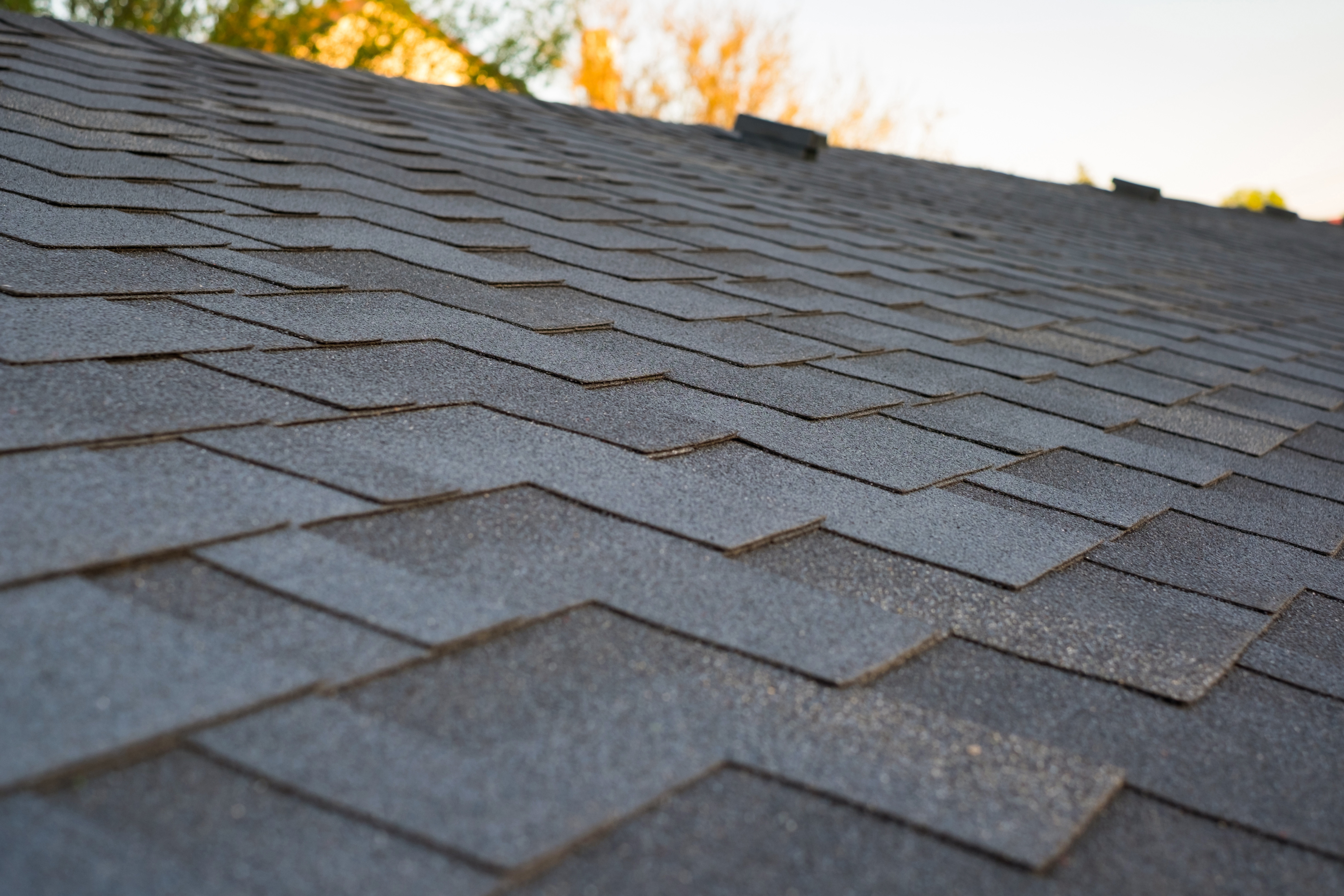 Stelshield Shingles Effective Shingle Choices for Twin Cities Weather